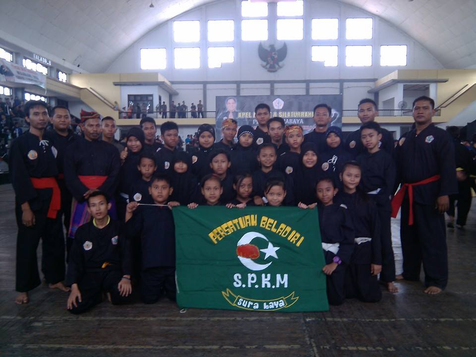 Tentang SPKM